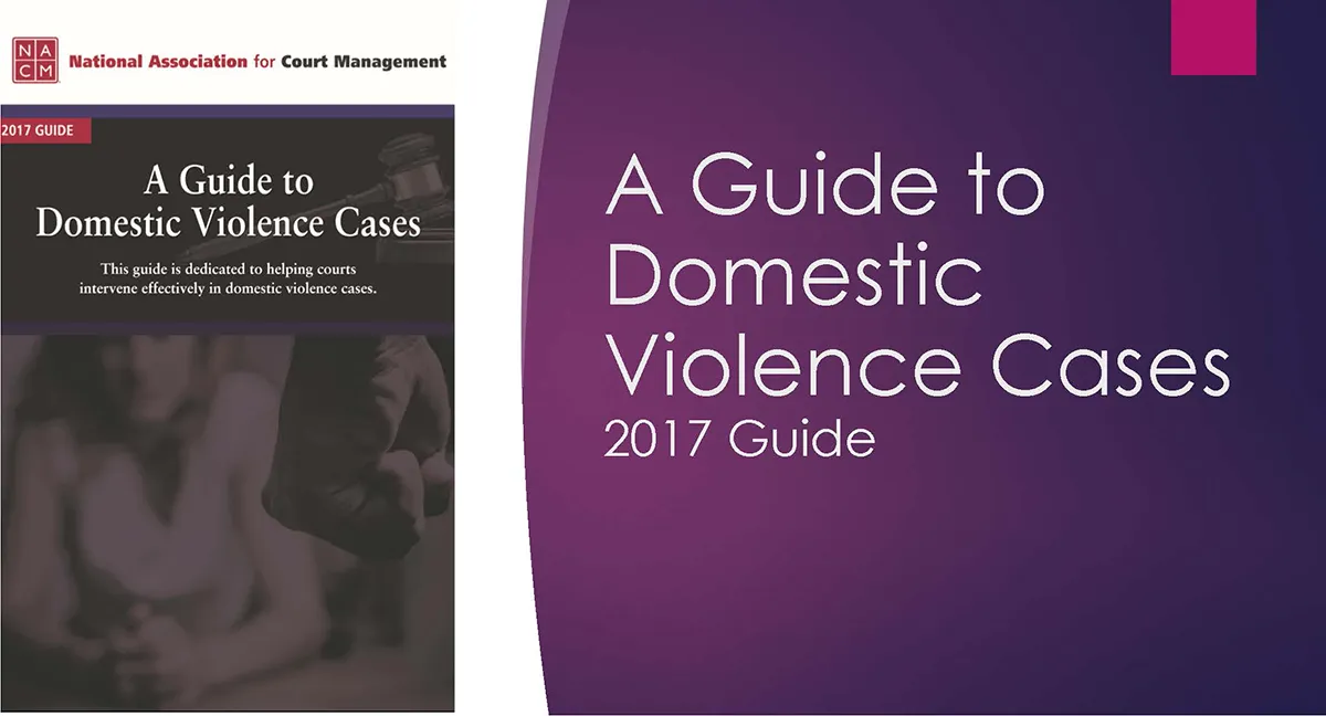 A Guide to Domestic Violence Cases